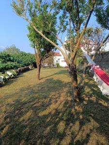 Casa dos Narizes - 3hvězdičkové hotely ve městě Angra do Heroísmo