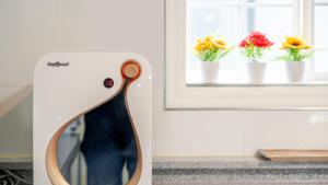 Daebudo Hebron Poolvilla