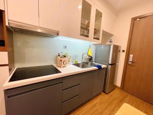 Delux Stu Apt Near JW Marriott And Grand Plaza Hotel