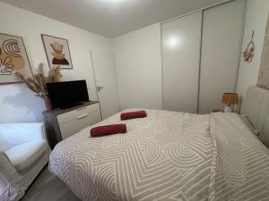 cocoon cosy 2 chambres, terrasse et clim