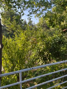 plenty of amenities, affordable price