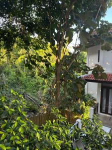 Charming Jungle Home in Chaweng