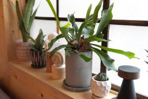 Batonship Inn Osaka 005