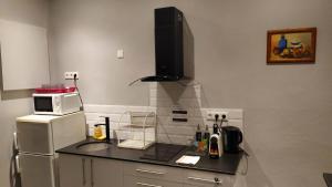 Appartements Studio Calme avec Jardin, Tram T6 et Metro D, Lyon 8 : photos des chambres