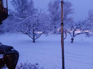 Naturparadies und Angleroase Borgvik