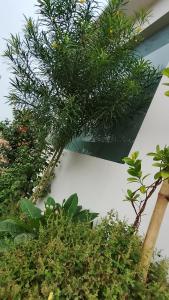 Atithi home stay and Cloud Kitchen