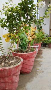 Atithi home stay and Cloud Kitchen