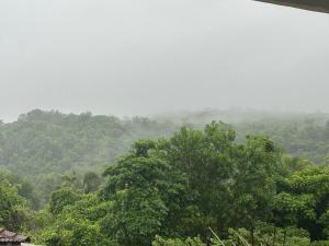 Diva Gomes Guest House