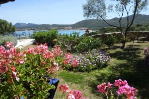 Domus de Rocas Holiday House