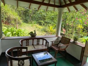 Honeyland hotel