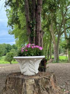 B&B / Chambres d'hotes Chateau des quatre tourelles : photos des chambres
