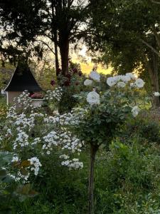B&B / Chambres d'hotes Chateau des quatre tourelles : photos des chambres