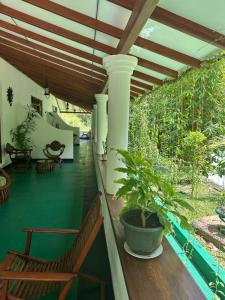 Honeyland hotel
