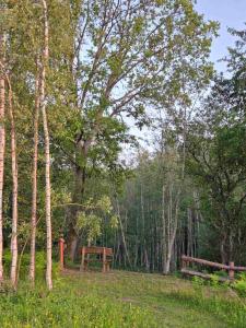 Terra Gratia - namukas Natūralistas