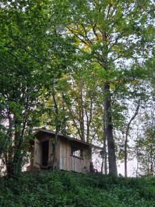 Terra Gratia - namukas Natūralistas