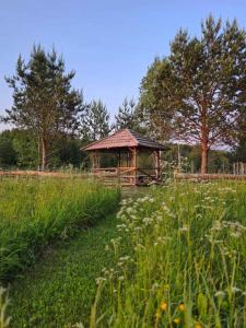 Terra Gratia - namukas Natūralistas