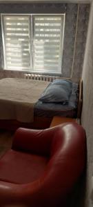 Flat 1 room apartment 500 m from sea