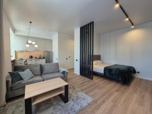 Apartment with Narva Castle view