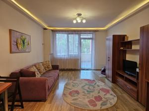 Elena Studio Isaran - Coresi