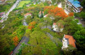 Sai Gon Ha Long Hotel