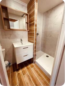 Appartements La chrysalide : Appartement Deluxe