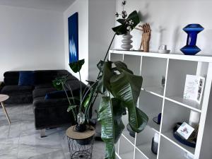 Montpellier Un écrin de lumière pour enchanter votre séjour