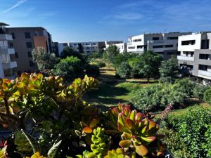 Appartements Montpellier Un ecrin de lumiere pour enchanter votre sejour : photos des chambres