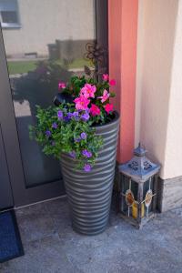 Pension Eger