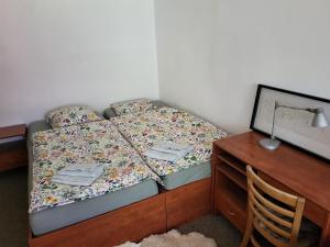 Apartmán u Klínovce