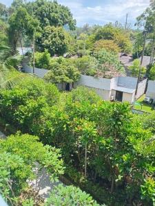 В11 Title Naiyang Ватсап669З5В2I976