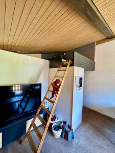 Ferienwohnung Brunni-Lodge direkt im Skigebiet