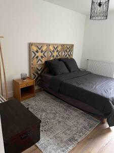 Appartements Balneo Jardins d-Eloise a Toulouse : photos des chambres