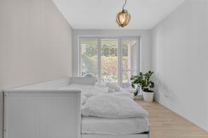 AH Cintorinska Free Parking