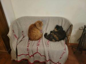 B&B / Chambres d'hotes CASA-Lodge L’Inverno pour 2 personnes : photos des chambres
