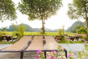 Tam Coc Mr Loa Bungalow