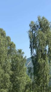 U Lesa Apartmány Harrachov