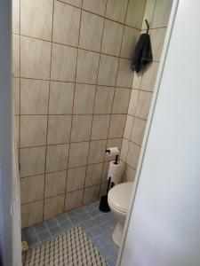 Papiniidu südames