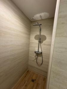 Les nuits étoilées