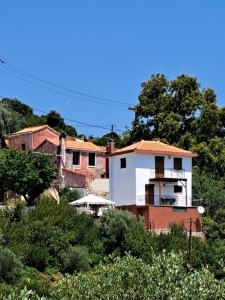 Iordanis house- Traditional House in old Alonnisos