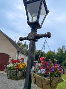 Bluebell Cottage - with hottub