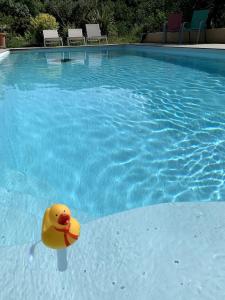 Maisons de vacances Villa Et au milieu coule un ruisseau - Piscine, jacuzzi prive, boulodrome : photos des chambres
