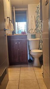 Vive Santiago Centro