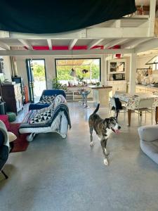 Loft immerso nel verde