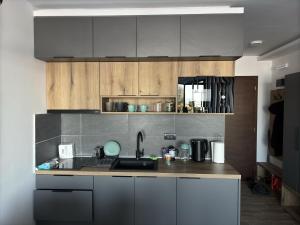 Raccoon Paradise Apartment Residence Hill B19