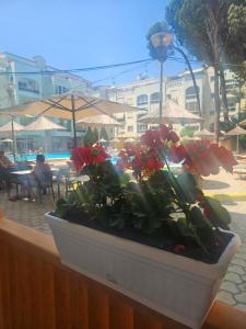 Geris Beach Apartments