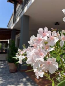 Residenza di Campagna Dolmen Motorra img8