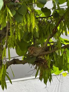 YOUR HOUSE Apart Otel