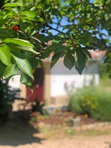 Ola Linda - Casa de Campo -