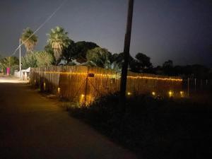 Appartamenti Sant'Andrea img81