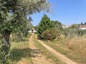 Ola Linda - Casa de Campo -